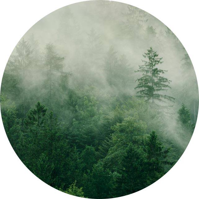 Yangzhou Suxiang Medical Instrument Co., LTD.